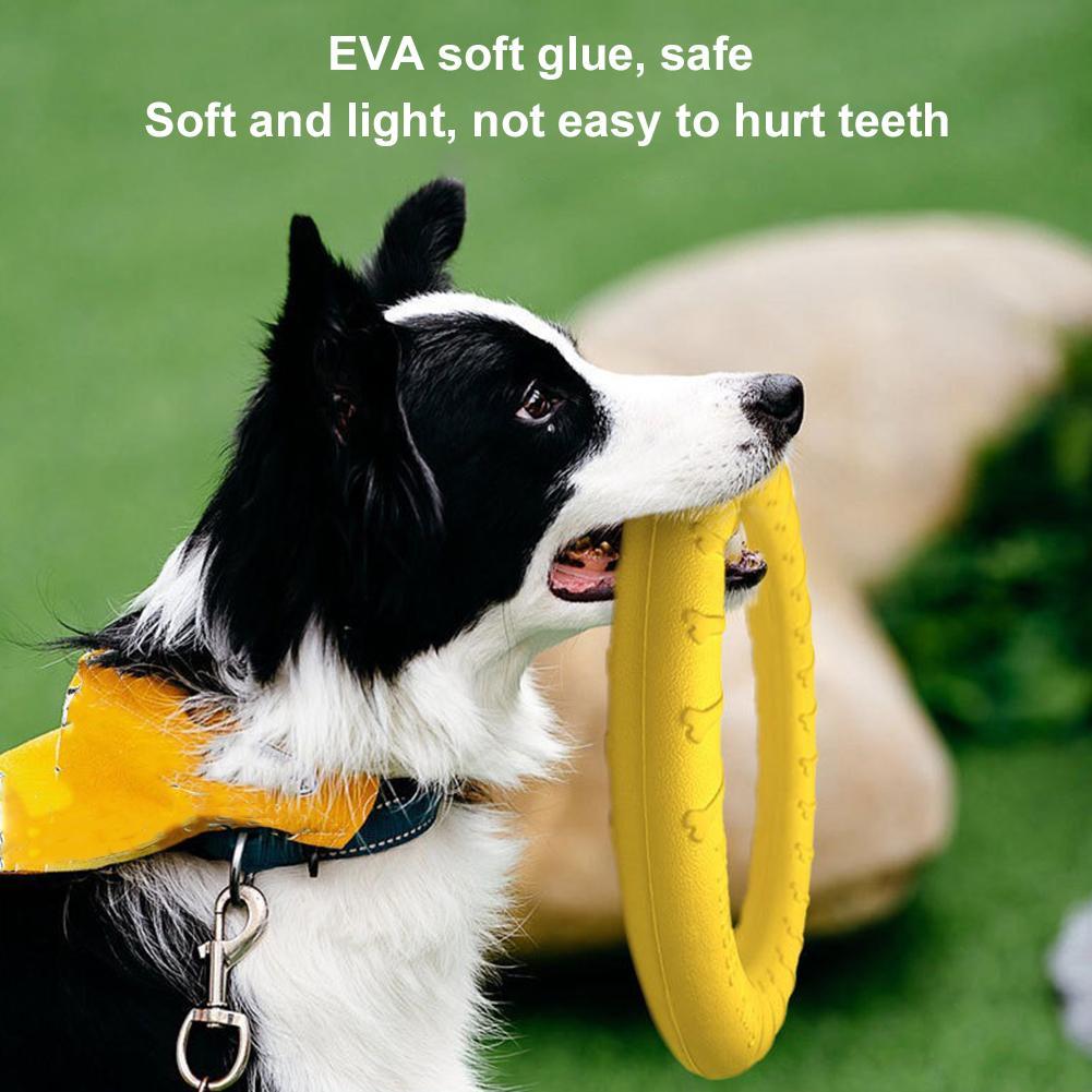 ألعاب حلقات للكلاب غير قابلة ل - مراجعة Indestructible Dog Chew Toy وسعره