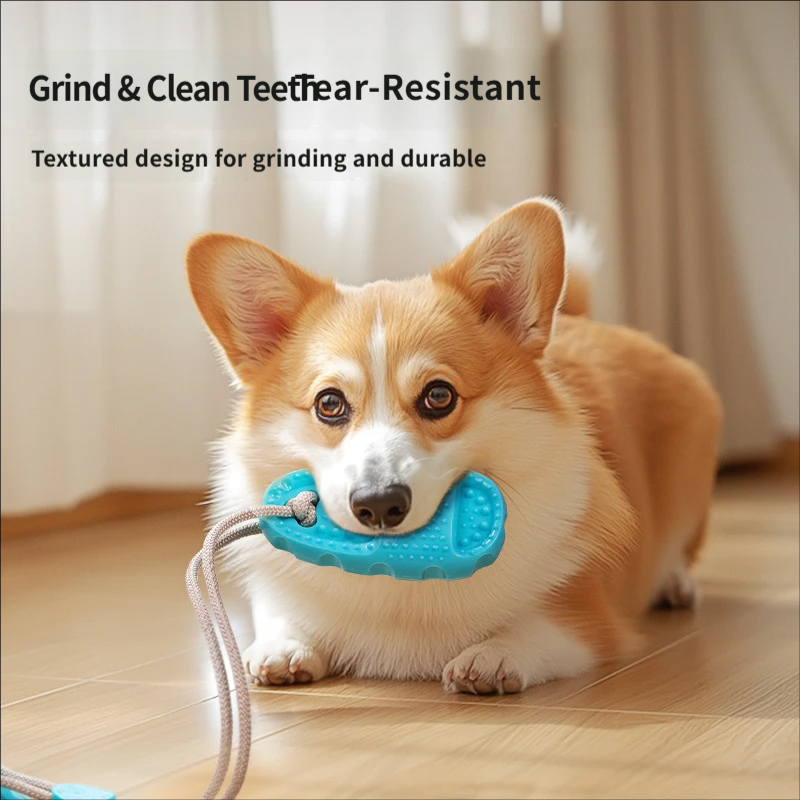 لعبة شد تفاعلية للكلاب بكأس شف - مراجعة Suction Cup Dog Tug Toy وسعره