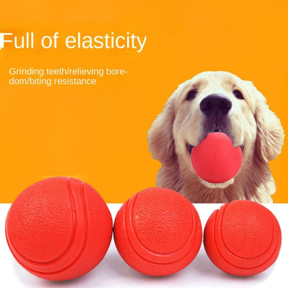 كرة صلبة مطاطية للحيوانات الأل - مراجعة Indestructible Dog Chew Toy وسعره