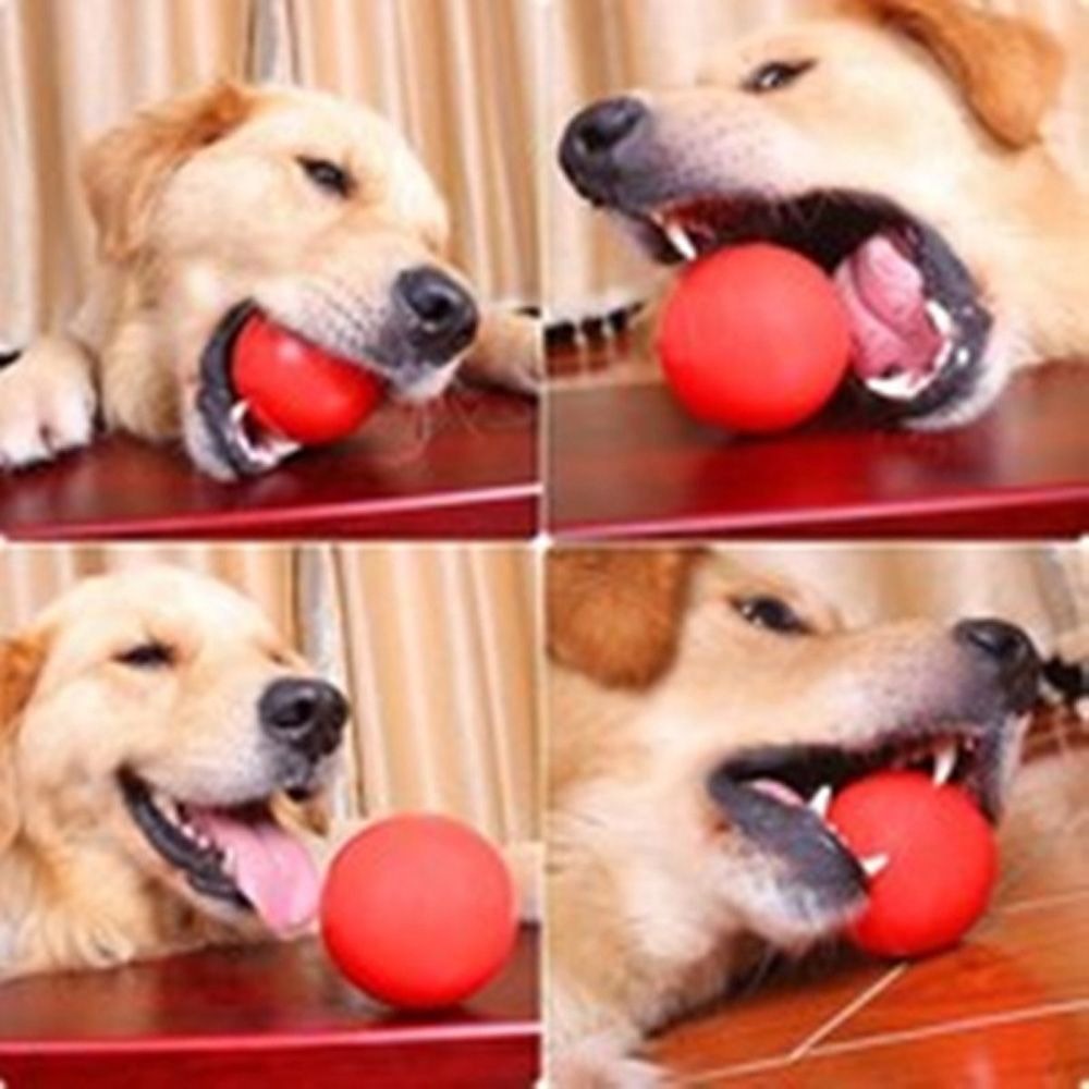 كرة صلبة مطاطية للحيوانات الأل - مراجعة Indestructible Dog Chew Toy وسعره