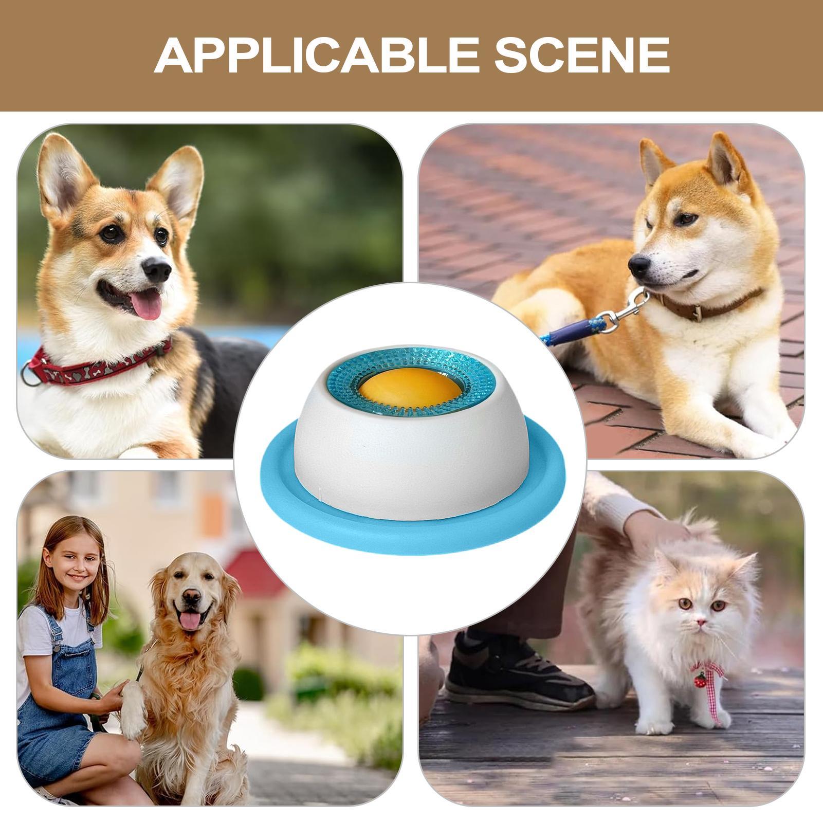لعبة مكافأة للكلاب، إكسسوارات  - مراجعة Dog Puzzle Feeder Toy وسعره
