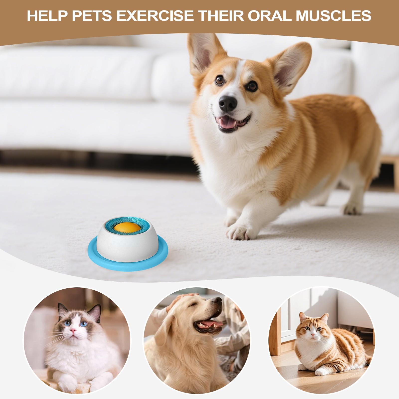 لعبة مكافأة للكلاب، إكسسوارات  - مراجعة Dog Puzzle Feeder Toy وسعره