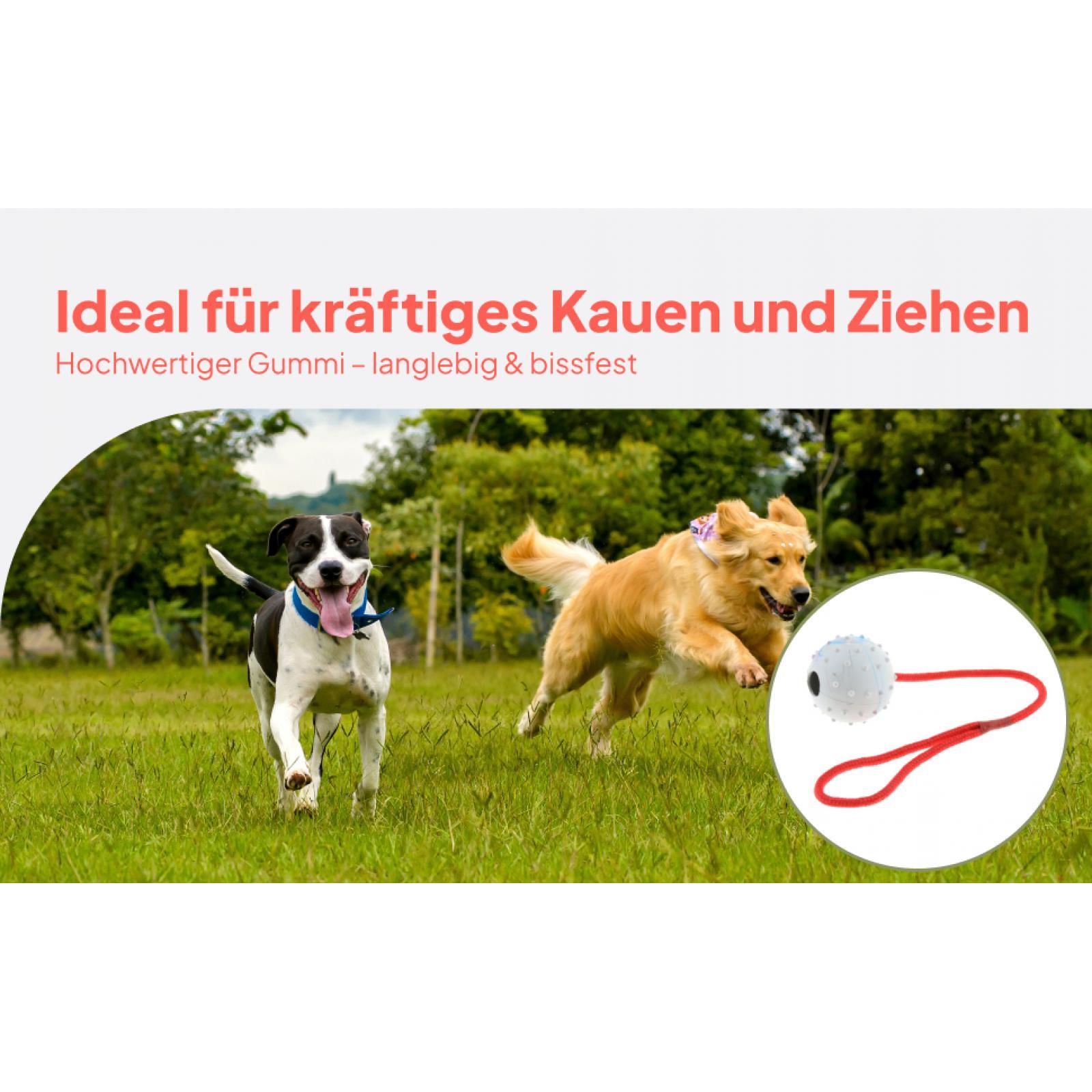 لعبة تدريب الحيوانات الأليفة،  - مراجعة Rubber Treat Dispensing Dog Toy وسعره